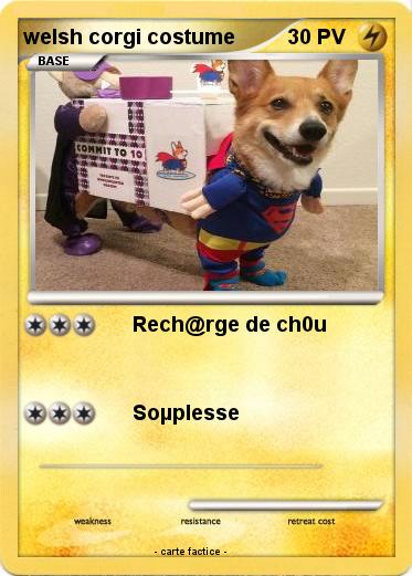 Pokemon welsh corgi costume