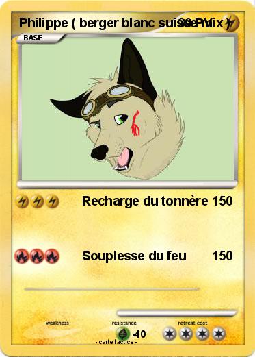 Pokemon Philippe ( berger blanc suisse mix )