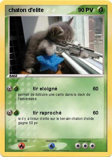 Pokemon chaton d'elite