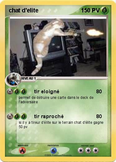 Pokemon chat d'elite