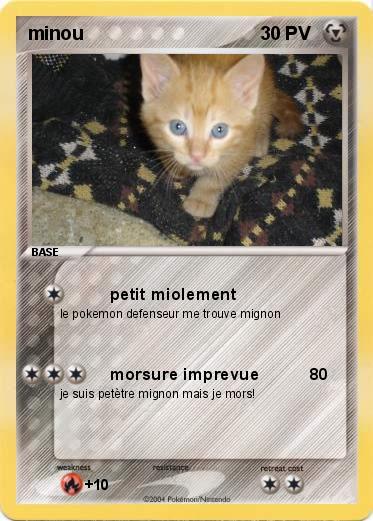 Pokemon minou
