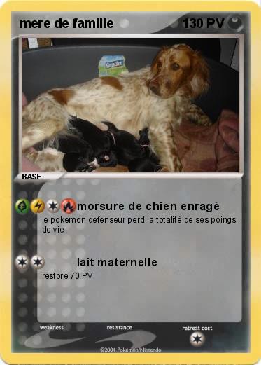 Pokemon mere de famille