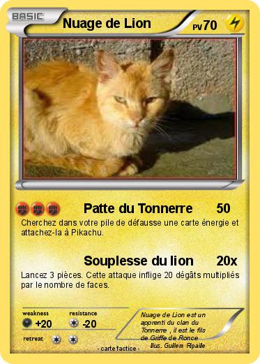 Pokemon Nuage de Lion