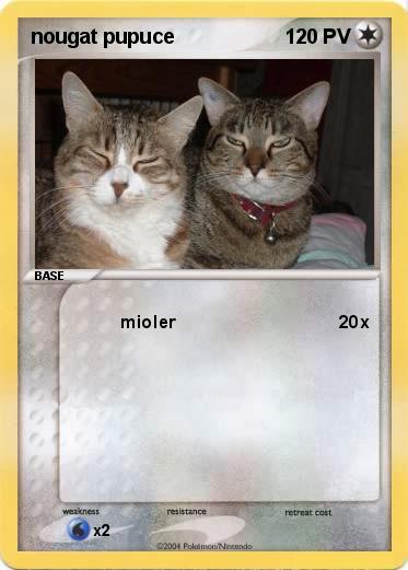 Pokemon nougat pupuce