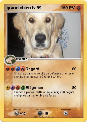 Pokemon grand chien lv 99