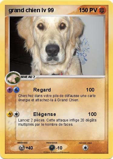Pokemon grand chien lv 99