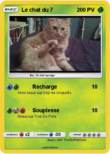 Pokemon Le chat du 7