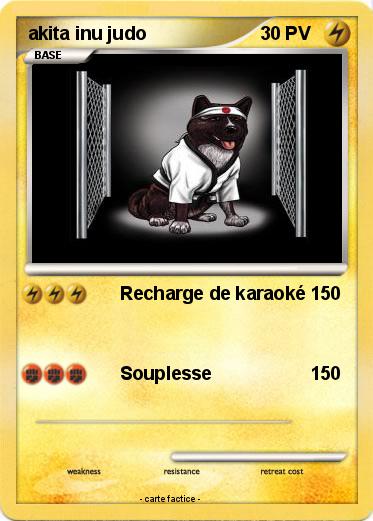 Pokemon akita inu judo