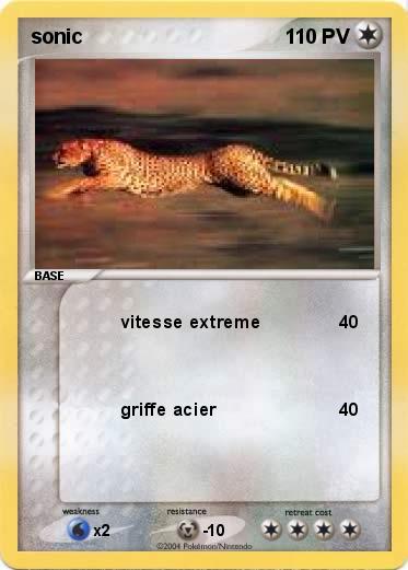 Pokemon sonic