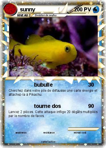 Pokemon sunny