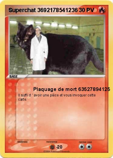 Pokemon Superchat 3692178541236