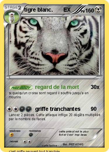 Pokemon tigre blanc.       EX