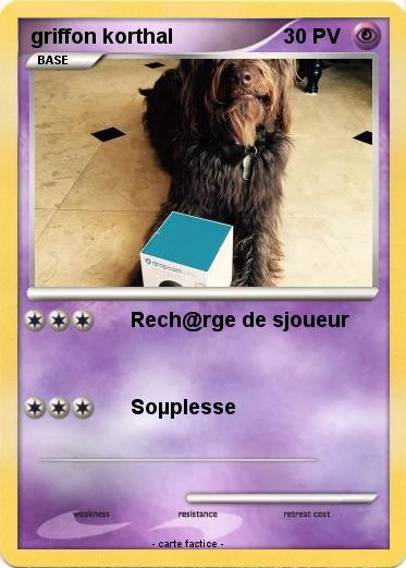 Pokemon griffon korthal