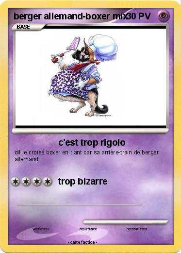 Pokemon berger allemand-boxer mix
