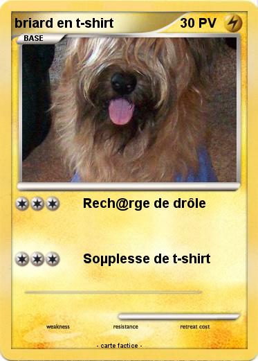 Pokemon briard en t-shirt