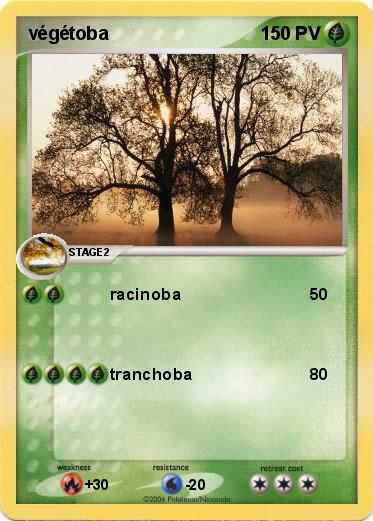 Pokemon végétoba
