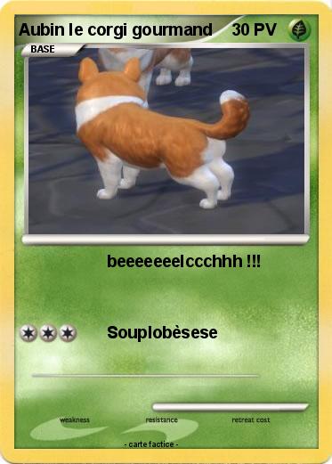 Pokemon Aubin le corgi gourmand