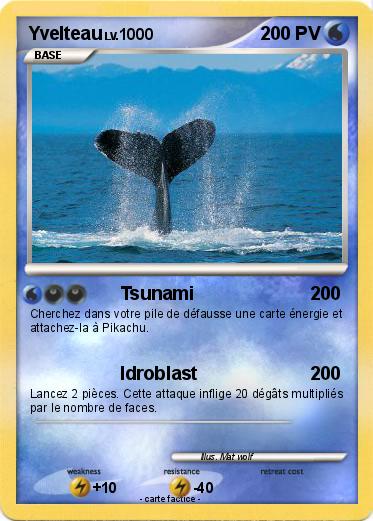Pokemon Yvelteau