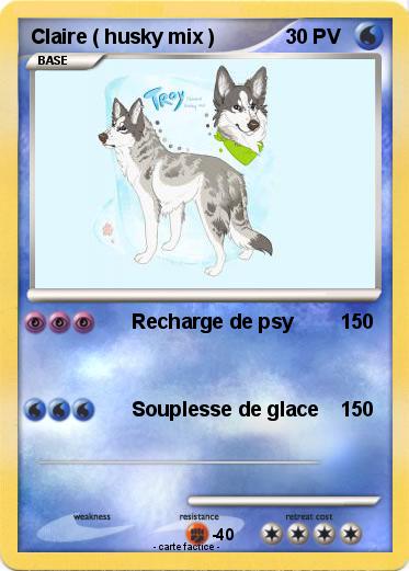 Pokemon Claire ( husky mix )