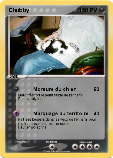 Pokemon Chubby