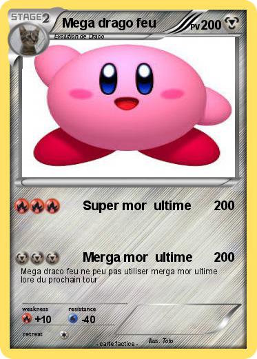 Pokemon Mega drago feu