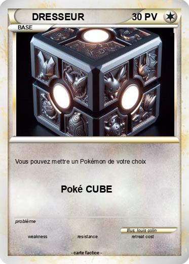 Pokemon DRESSEUR