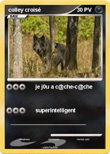 Pokemon colley croisé