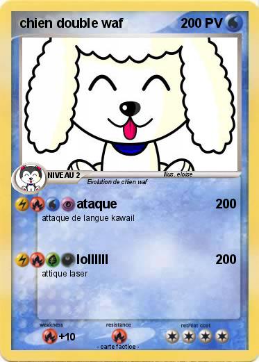 Pokemon chien double waf