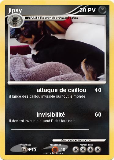 Pokemon jipsy