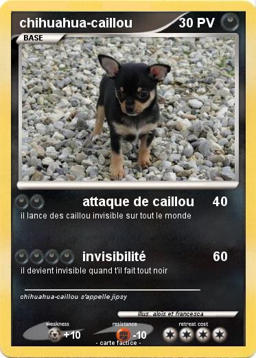 Pokemon chihuahua-caillou