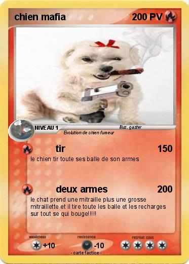 Pokemon chien mafia
