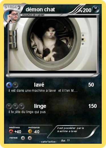 Pokemon démon chat