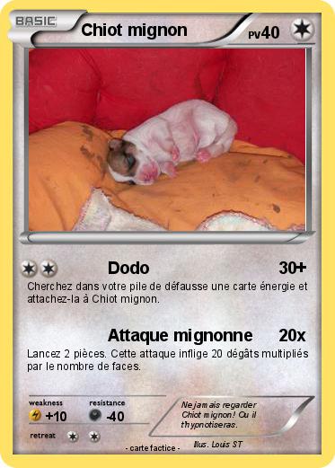 Pokemon Chiot mignon