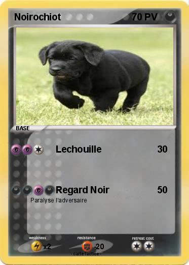 Pokemon Noirochiot