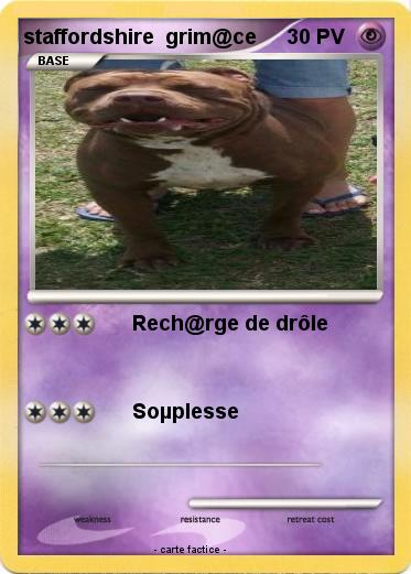 Pokemon staffordshire  grim@ce