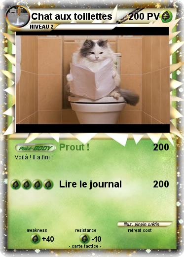 Pokemon Chat aux toillettes