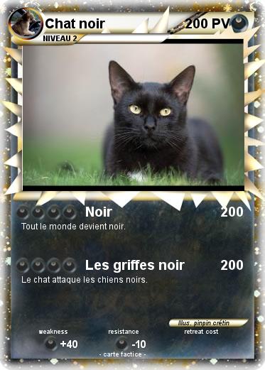 Pokemon Chat noir