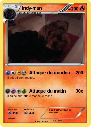 Pokemon Indy-man