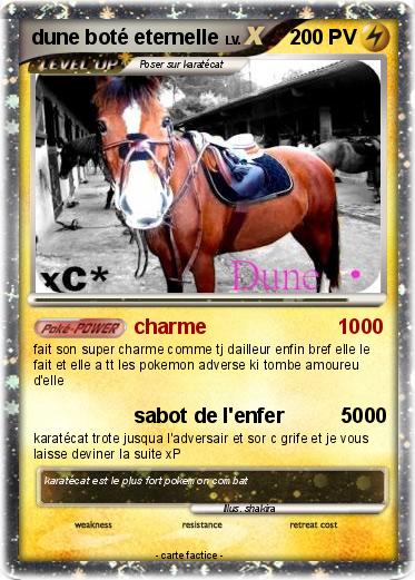 Pokemon dune boté eternelle