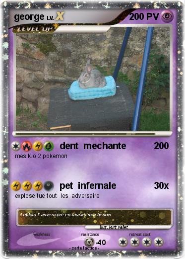 Pokemon george