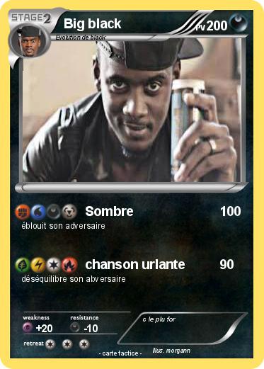 Pokemon Big black