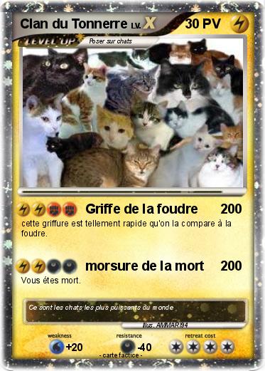 Pokemon Clan du Tonnerre