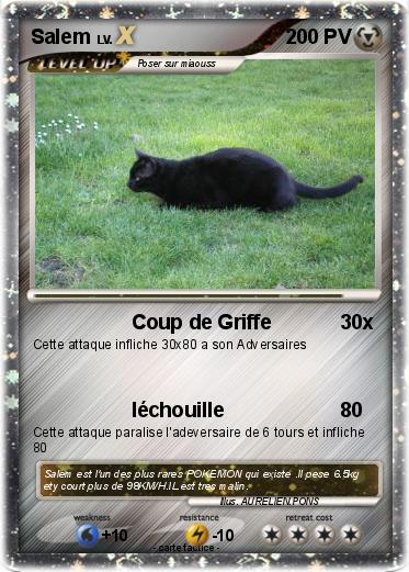 Pokemon Salem