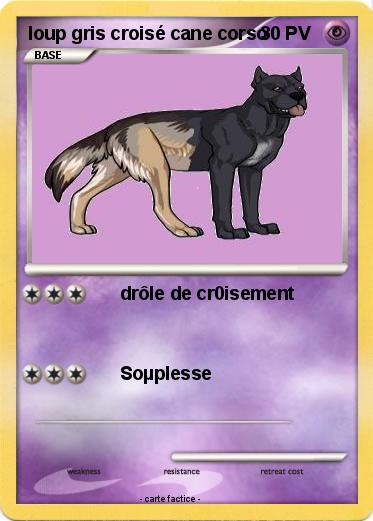 Pokemon loup gris croisé cane corso