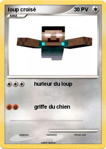 Pokemon loup croisé