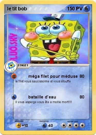 Pokemon le tit bob