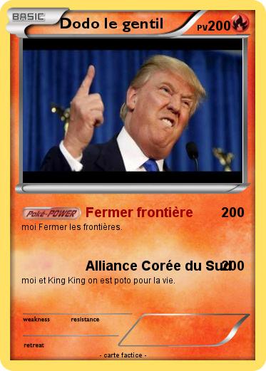 Pokemon Dodo le gentil