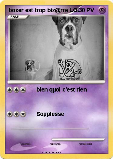 Pokemon boxer est trop biz@rre LOL