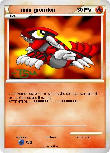 Pokemon mini grondon