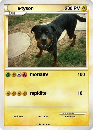 Pokemon e-tyson
